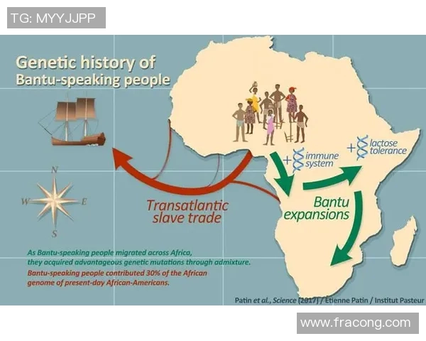 NBA球队新秀选拔标准与培养路径分析及成功案例探讨