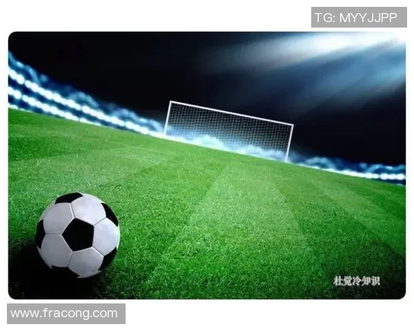 公牛冷知识大揭秘你不知道的十大趣味与奇闻